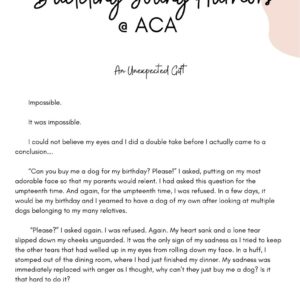 BUDDING YOUNG AUTHORS BOOKLET 2