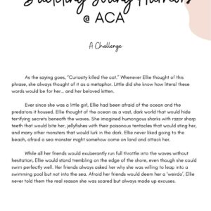 BUDDING YOUNG AUTHORS BOOKLET 3
